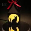 Paper black box with cat and moon pattern in reflection on dark background side view