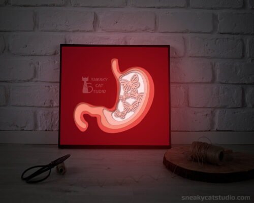 Paper layered shadow box Stomach with butterflies with red light on the table