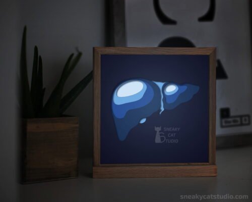Paper layered shadow box Liver with blue light on the table