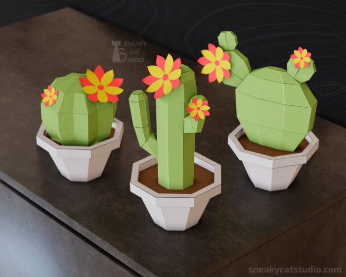 3 Polygonal cacti for interior on the table main view