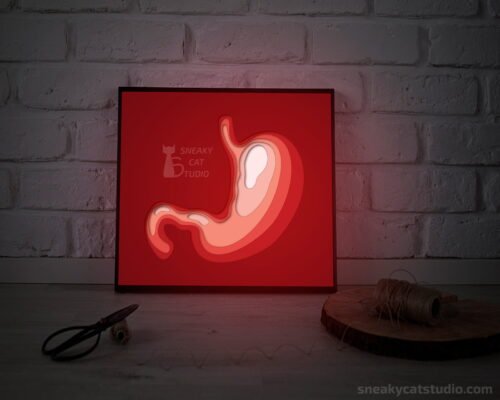 Paper layered shadow box Stomach with red light on the table